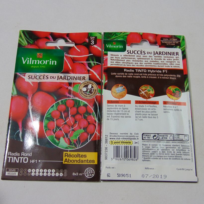 Exemple de spécimen de Radis Tinto F1 (Création Vilmorin)  - Vilmorin Graines tel que livré