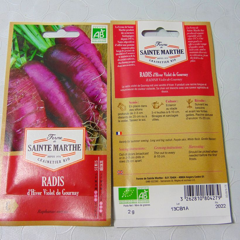 Exemple de spécimen de Radis Violet de Gournay Bio - Ferme de Sainte Marthe Graines tel que livré