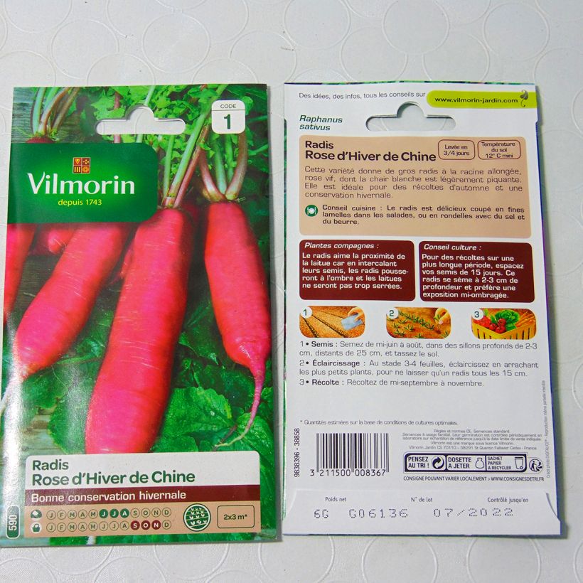 Exemple de spécimen de Radis rose d'hiver de Chine - Vilmorin Graines tel que livré