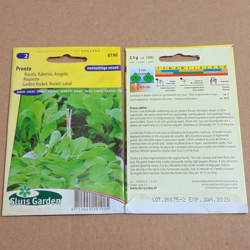 Exemple de spécimen de Roquette Pronto - Eruca sativa Graines tel que livré