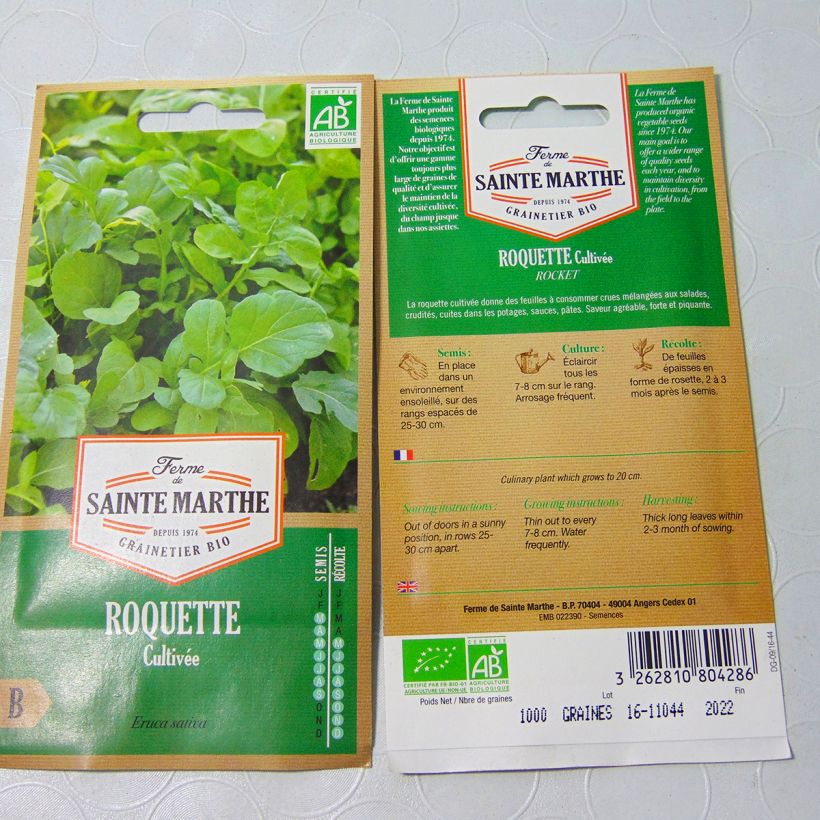 Exemple de spécimen de Roquette cultivée Bio - Ferme de Sainte Marthe tel que livré