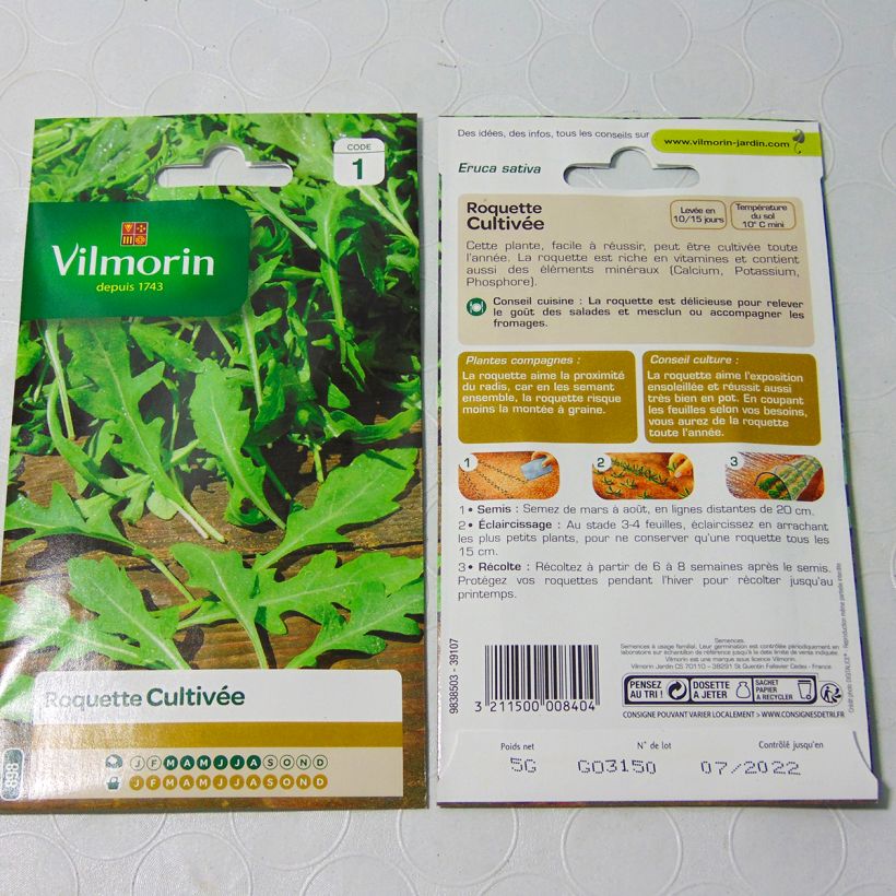 Exemple de spécimen de Roquette cultivée - Vilmorin Graines tel que livré