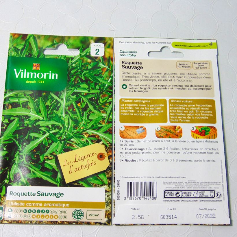 Exemple de spécimen de Roquette sauvage - Vilmorin Graines tel que livré