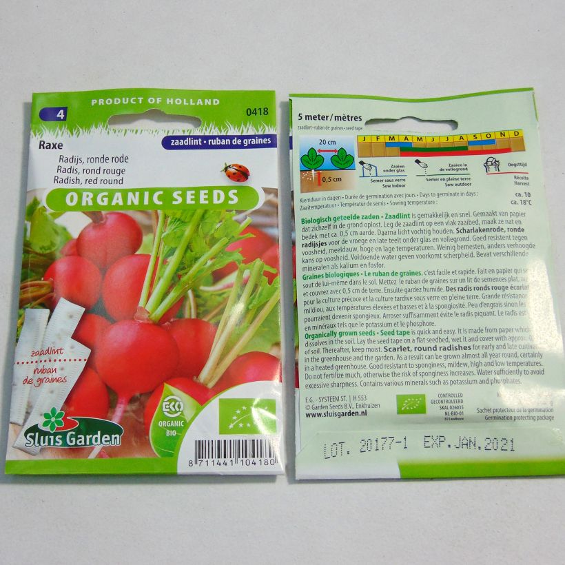 Exemple de spécimen de Ruban 5m Radis Rond Rouge Raxe Bio - Raphanus sativus Graines tel que livré