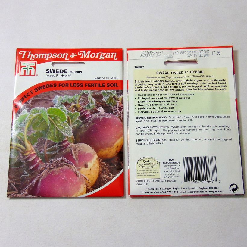 Exemple de spécimen de Rutabaga Tweed Graines tel que livré