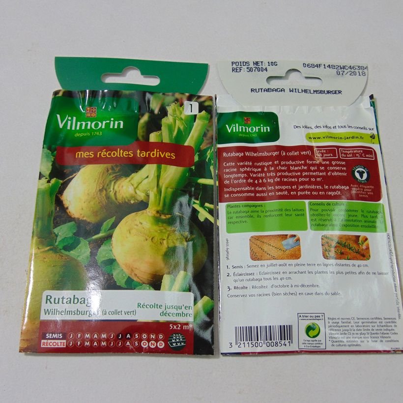 Exemple de spécimen de Rutabaga Wilhemsburger (à collet vert) - Vilmorin Graines tel que livré