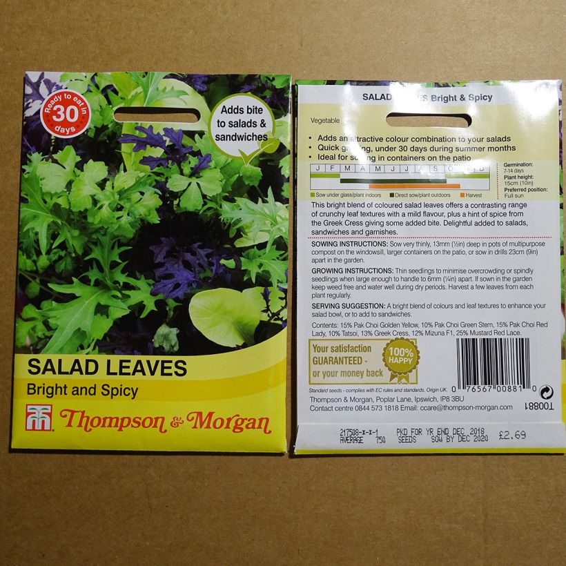Exemple de spécimen de Salades à couper Bright and Spicy - Mesclun Graines tel que livré