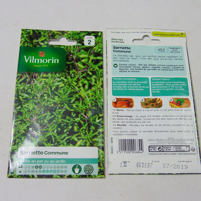 Exemple de spécimen de Sarriette commune - Vilmorin Graines tel que livré
