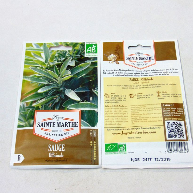 Exemple de spécimen de Sauge officinale Bio - Ferme de Sainte Marthe Graines tel que livré
