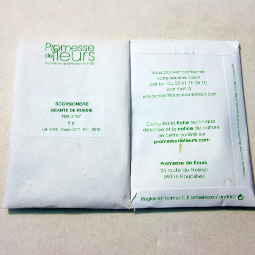 Exemple de spécimen de Scorsonère Géante Noire de Russie - Scorzonera hispanica  le sachet de 300 graines (minimum 5g) tel que livré