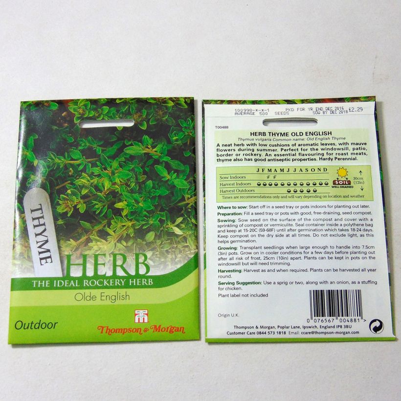Exemple de spécimen de Thym Old English Graines tel que livré