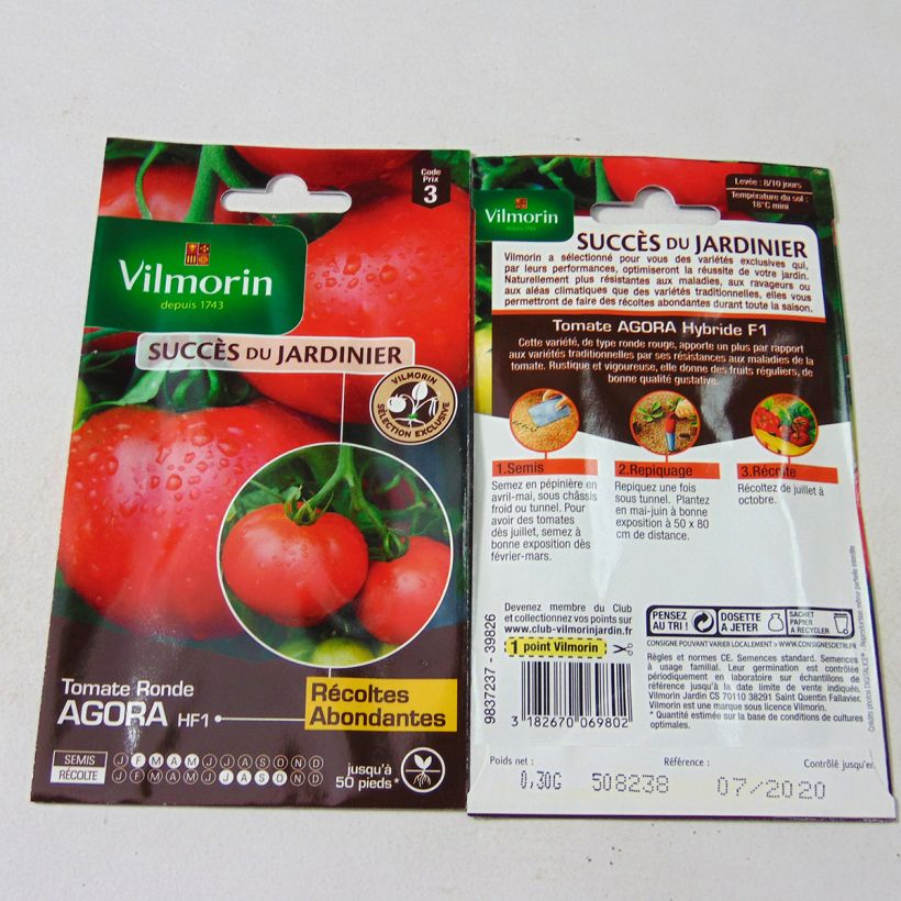 Exemple de spécimen de Tomate Agora F1 - Vilmorin tel que livré