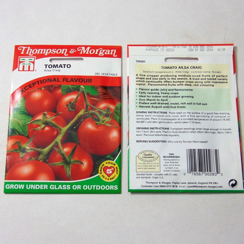 Exemple de spécimen de Tomate Ailsa Craig tel que livré