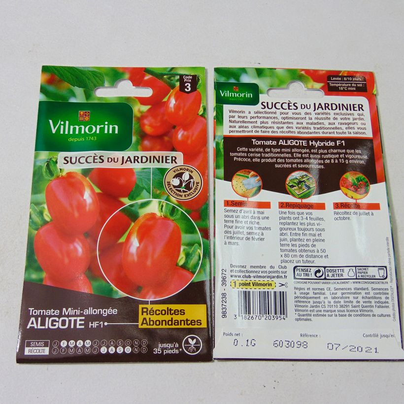 Exemple de spécimen de Tomate Aligote F1 - Vilmorin  Graines tel que livré