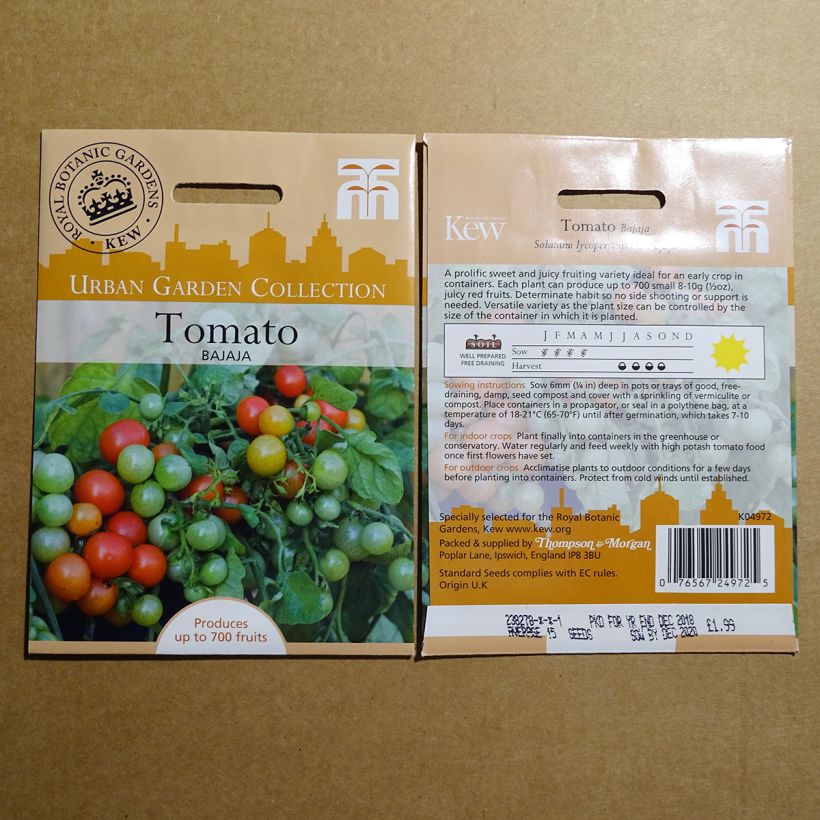 Exemple de spécimen de Tomate Bajaja tel que livré