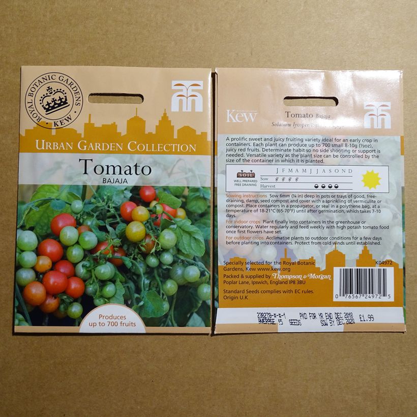Exemple de spécimen de Tomate Bajaja Graines tel que livré
