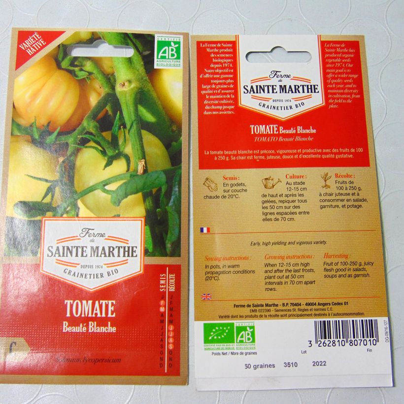 Exemple de spécimen de Tomate Beauté Blanche Bio - Ferme de Sainte Marthe Graines tel que livré
