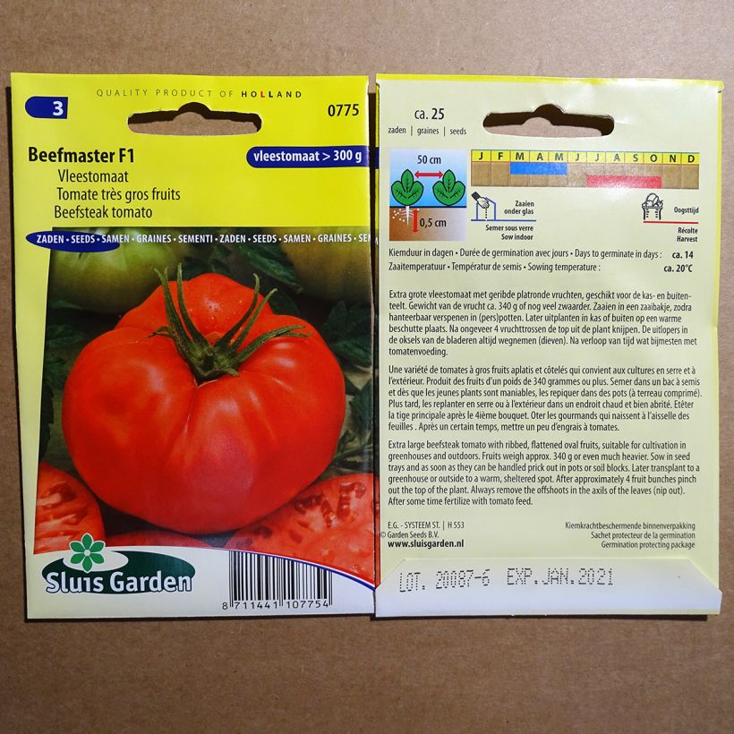 Exemple de spécimen de Tomate Beefmaster F1 - Très gros fruits  Graines tel que livré