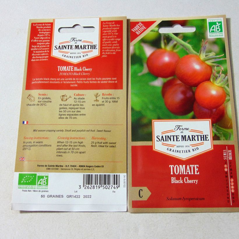 Spécimen de Tomate Black Cherry Bio tel que livré en printemps