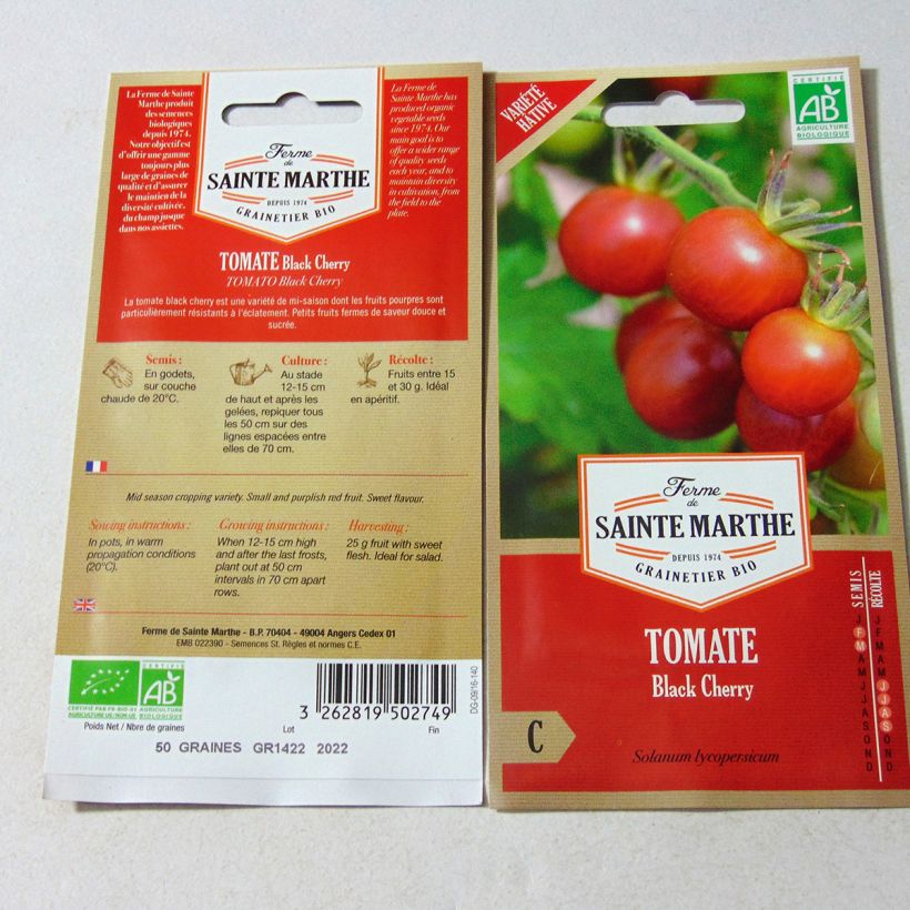 Exemple de spécimen de Tomate Black Cherry Bio tel que livré