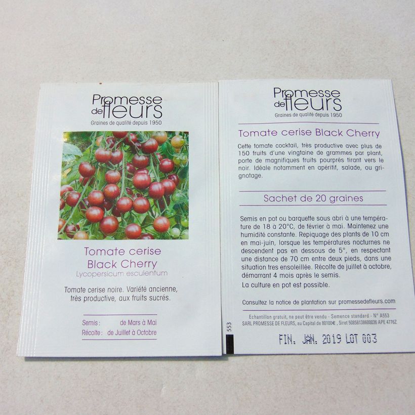 Exemple de spécimen de Tomate Black Cherry -  Tomate Cerise noire tel que livré