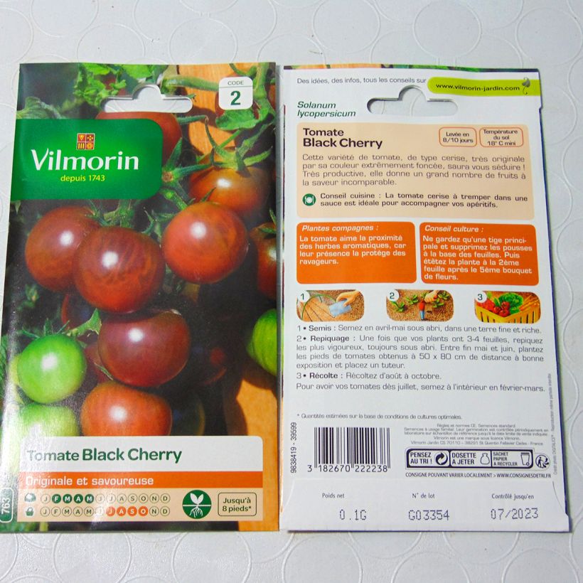 Exemple de spécimen de Tomate Black Cherry - Tomate cerise noire - Vilmorin tel que livré
