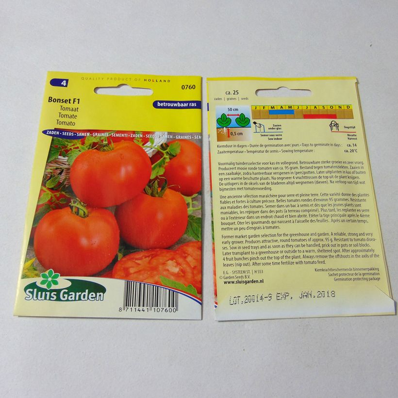 Exemple de spécimen de Tomate Bonset F1 Graines tel que livré