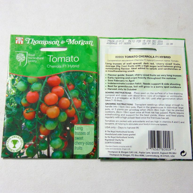 Exemple de spécimen de Tomate Cherrola F1 - Tomate-cerise tel que livré