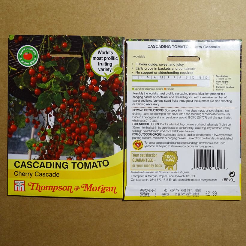 Exemple de spécimen de Tomate Cherry Cascade - Tomate-cerise Graines tel que livré