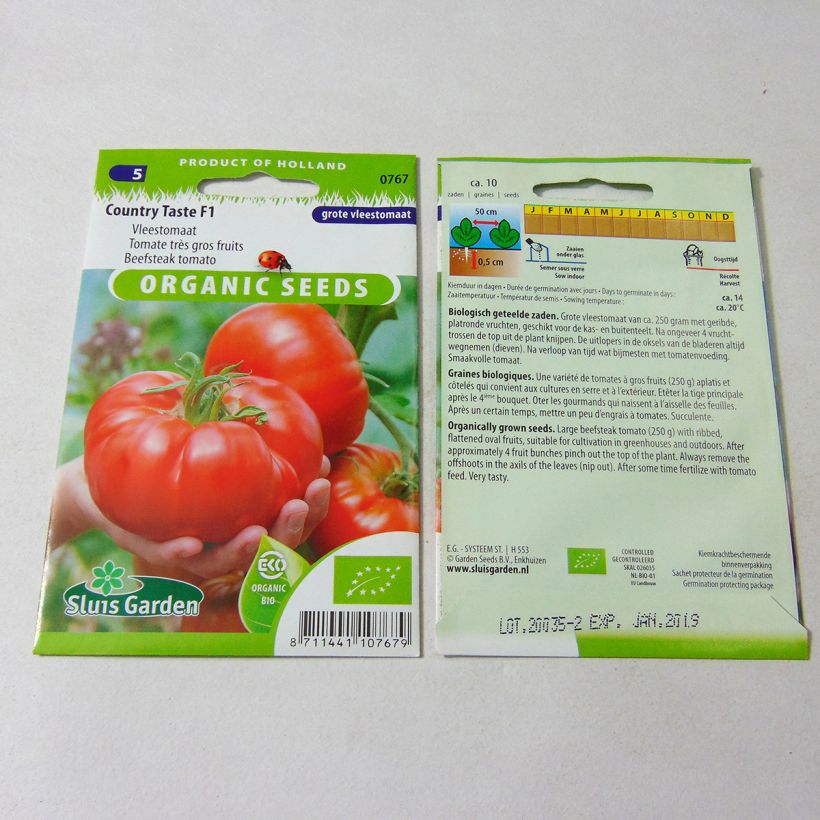 Exemple de spécimen de Tomate Country Taste F1 Bio Graines tel que livré