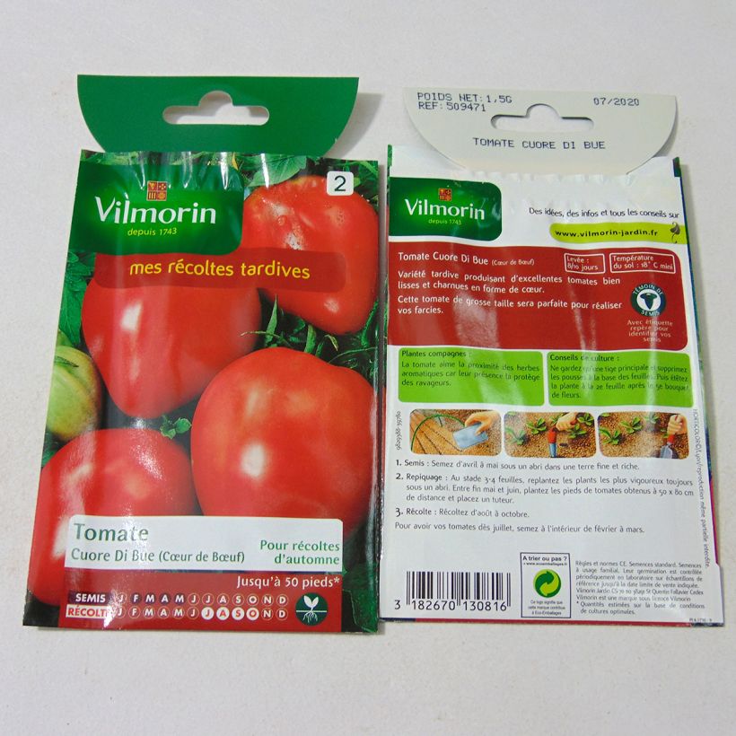 Exemple de spécimen de Tomate Cuor di Bue - Cœur de bœuf - Vilmorin tel que livré