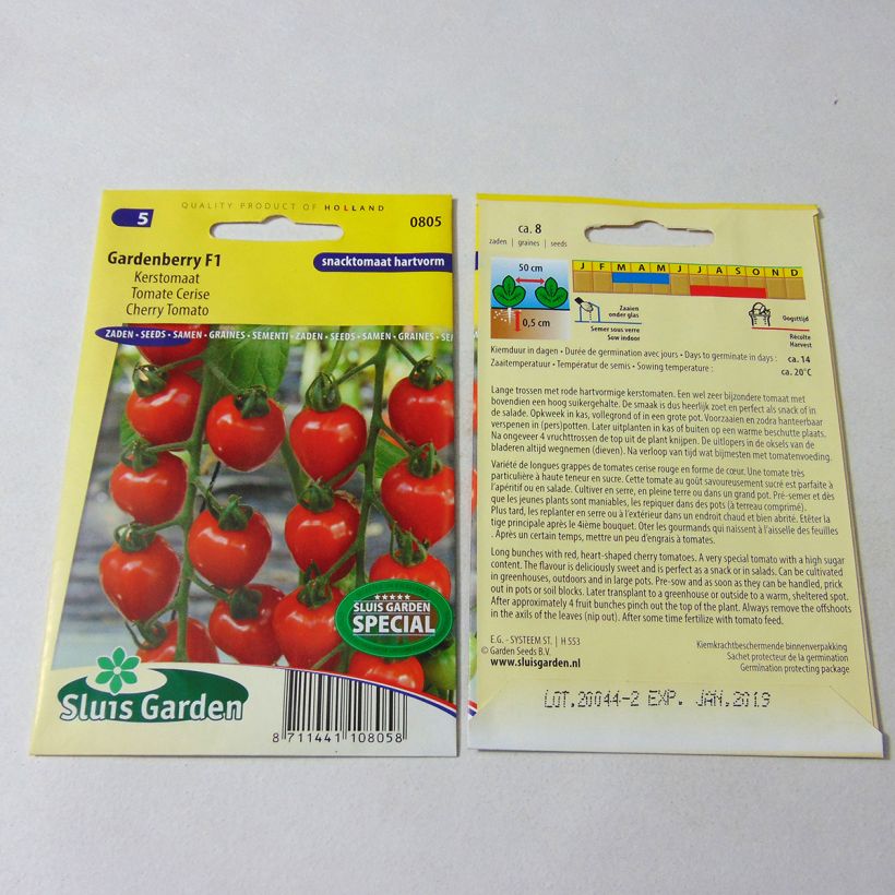 Exemple de spécimen de Tomate Gardenberry F1 - Tomate-cerise Graines tel que livré