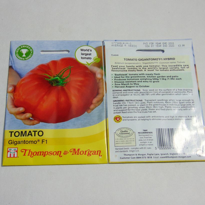 Exemple de spécimen de Tomate Gigantomo F1 tel que livré
