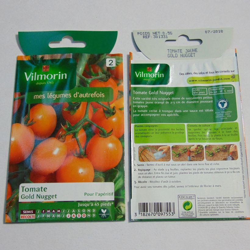 Exemple de spécimen de Tomate Gold Nugget - Vilmorin tel que livré