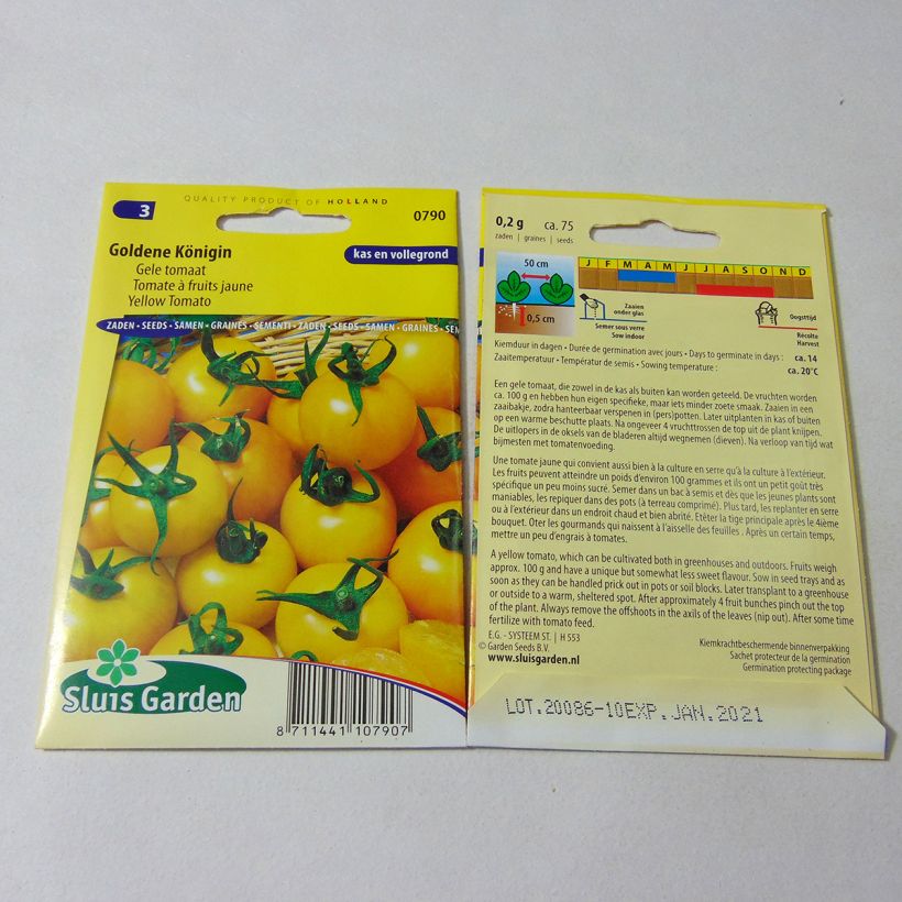 Exemple de spécimen de Tomate Goldene Königin - Tomate Reine d'or Graines tel que livré