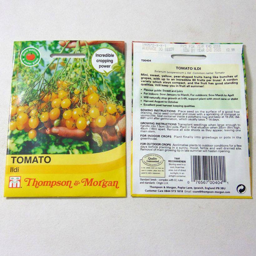Exemple de spécimen de Tomate Ildi - Tomate-cerise tel que livré