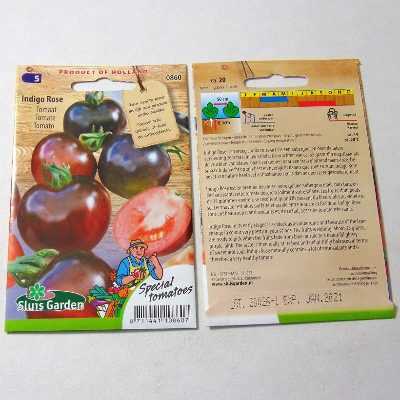 Exemple de spécimen de Tomate Indigo Rose  Graines tel que livré