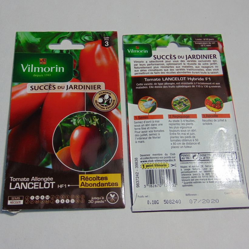 Exemple de spécimen de Tomate Lancelot F1 - Vilmorin Graines tel que livré