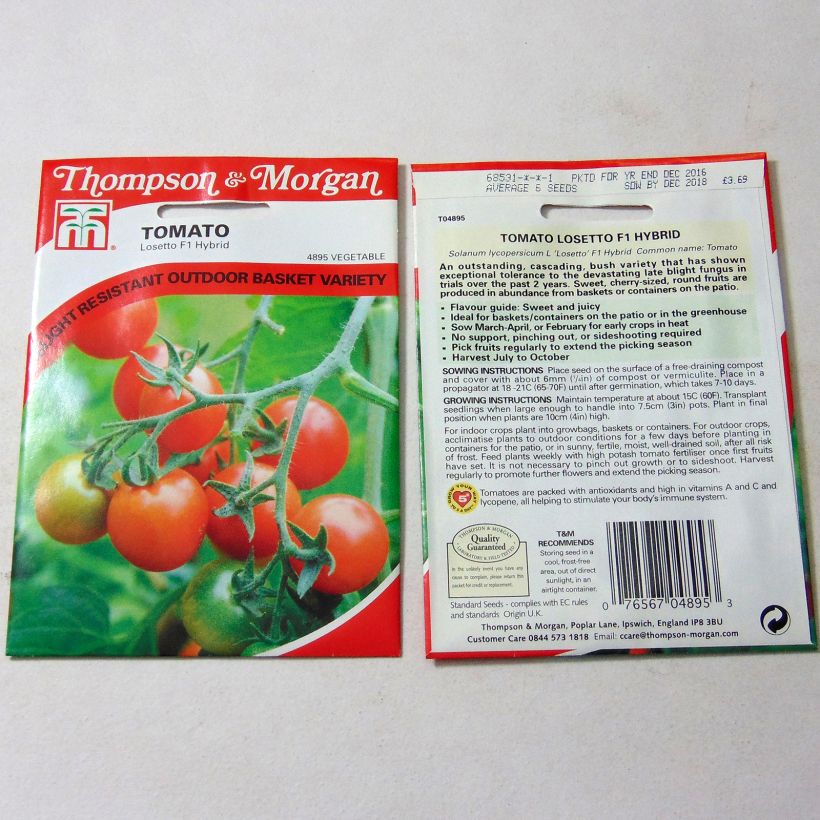 Exemple de spécimen de Tomate Losetto F1  - Tomate-cerise tel que livré