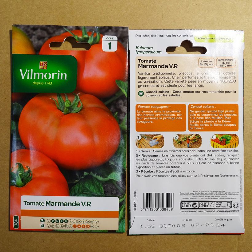 Spécimen de Tomate Marmande - Vilmorin tel que livré en printemps