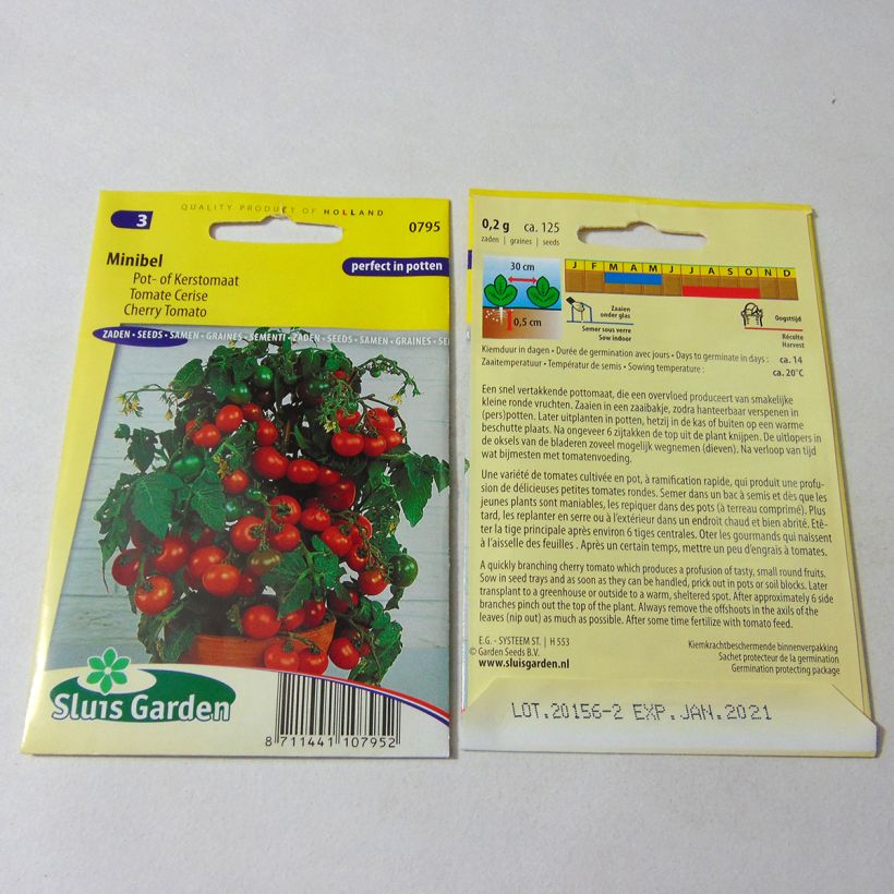 Exemple de spécimen de Tomate Minibel - Tomate cerise tel que livré