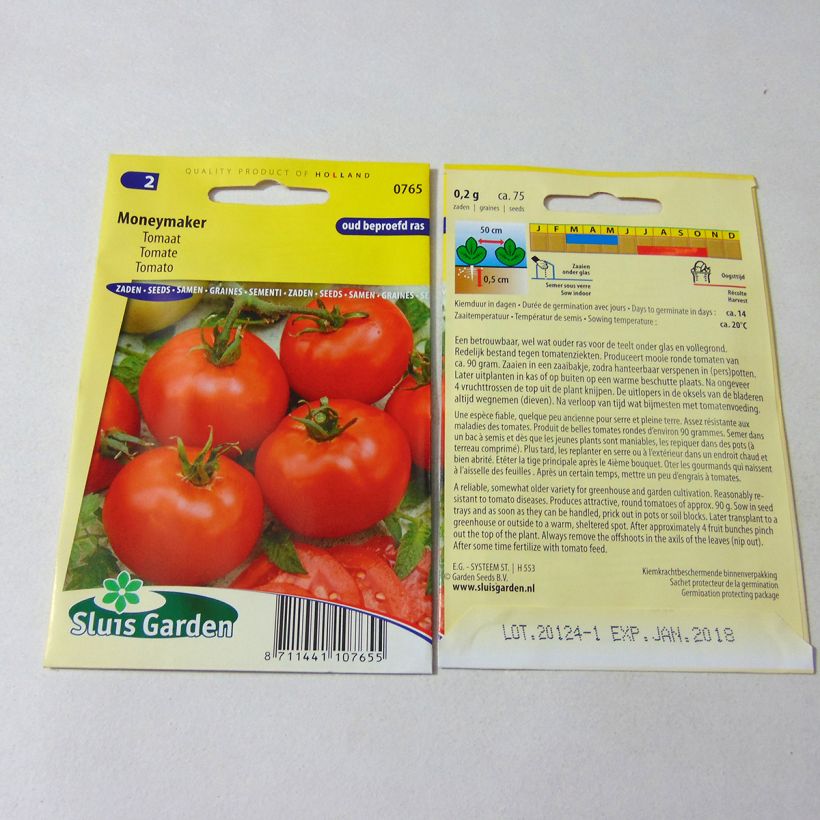 Exemple de spécimen de Tomate Moneymaker - Solanum lycopersicum  tel que livré