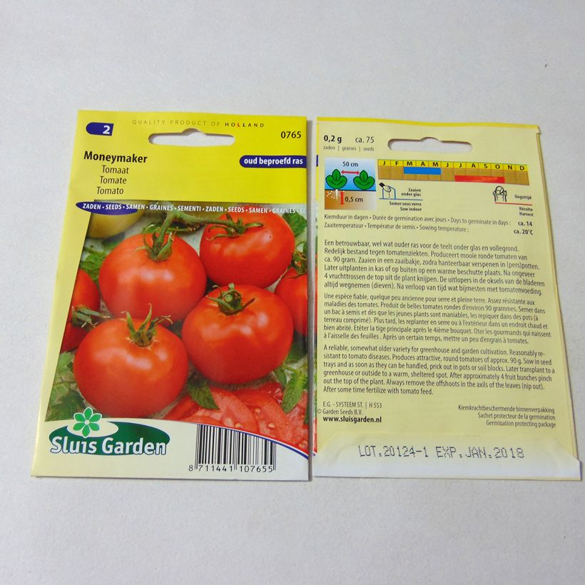 Exemple de spécimen de Tomate Moneymaker - Solanum lycopersicum  Graines tel que livré