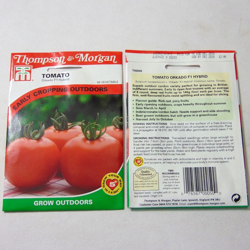 Exemple de spécimen de Tomate Orkado - Tomate Grappe tel que livré