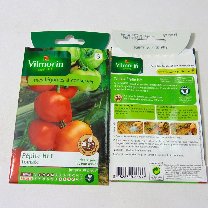 Exemple de spécimen de Tomate Pépite F1 (Création Vilmorin) - Vilmorin Graines tel que livré