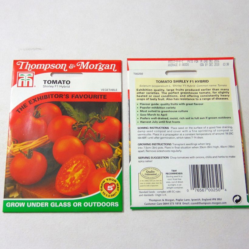 Exemple de spécimen de Tomate Shirley F1 - Tomate Grappe tel que livré