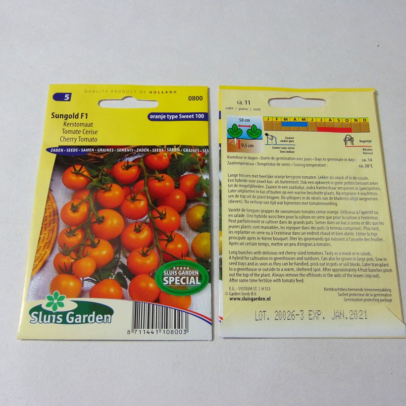 Exemple de spécimen de Tomate Sungold F1 - Tomate Cerise  Graines tel que livré