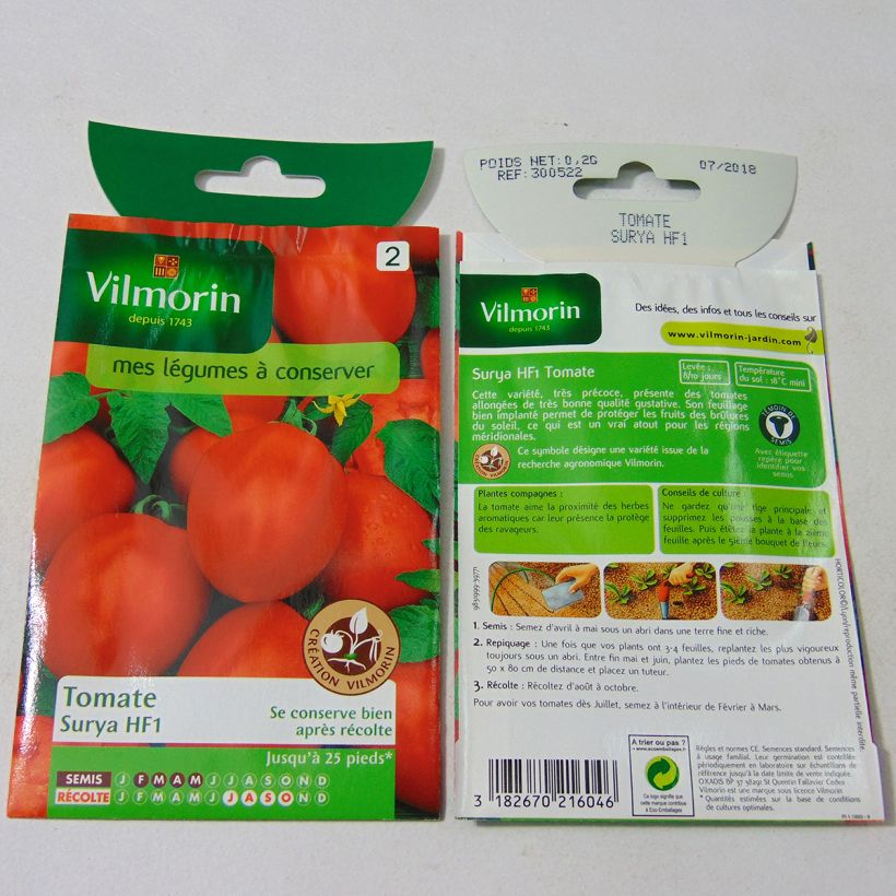 Exemple de spécimen de Tomate Surya F1 (Création Vilmorin) - Vilmorin tel que livré