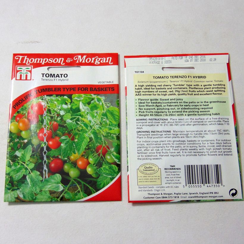 Exemple de spécimen de Tomate Terenzo F1 - Tomate cerise  Graines tel que livré