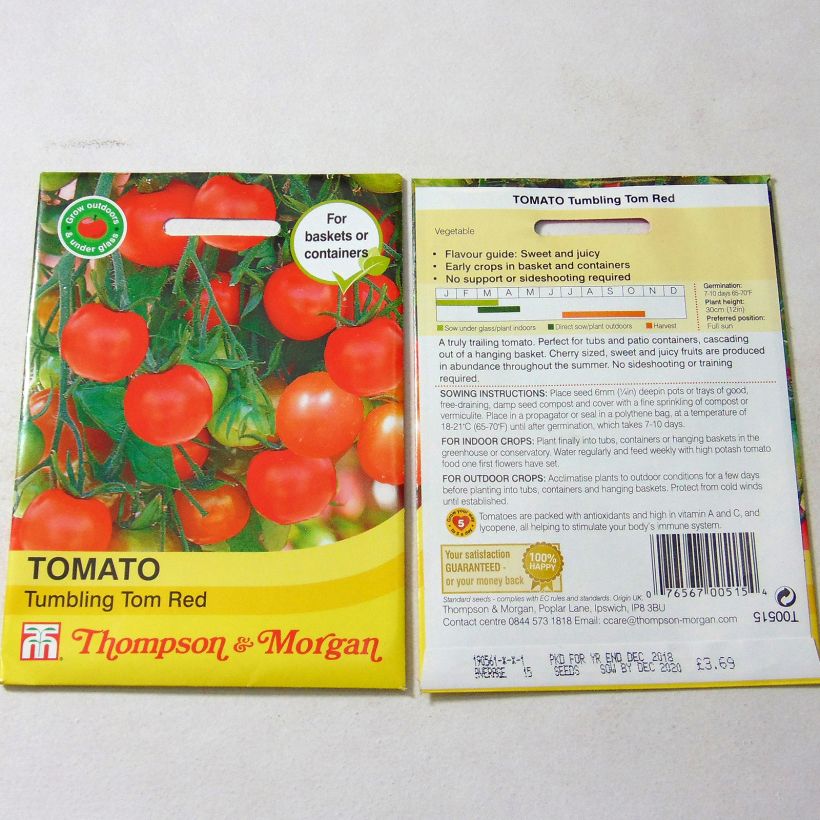 Exemple de spécimen de Tomate Tumbling Tom Red - Tomate-cerise tel que livré